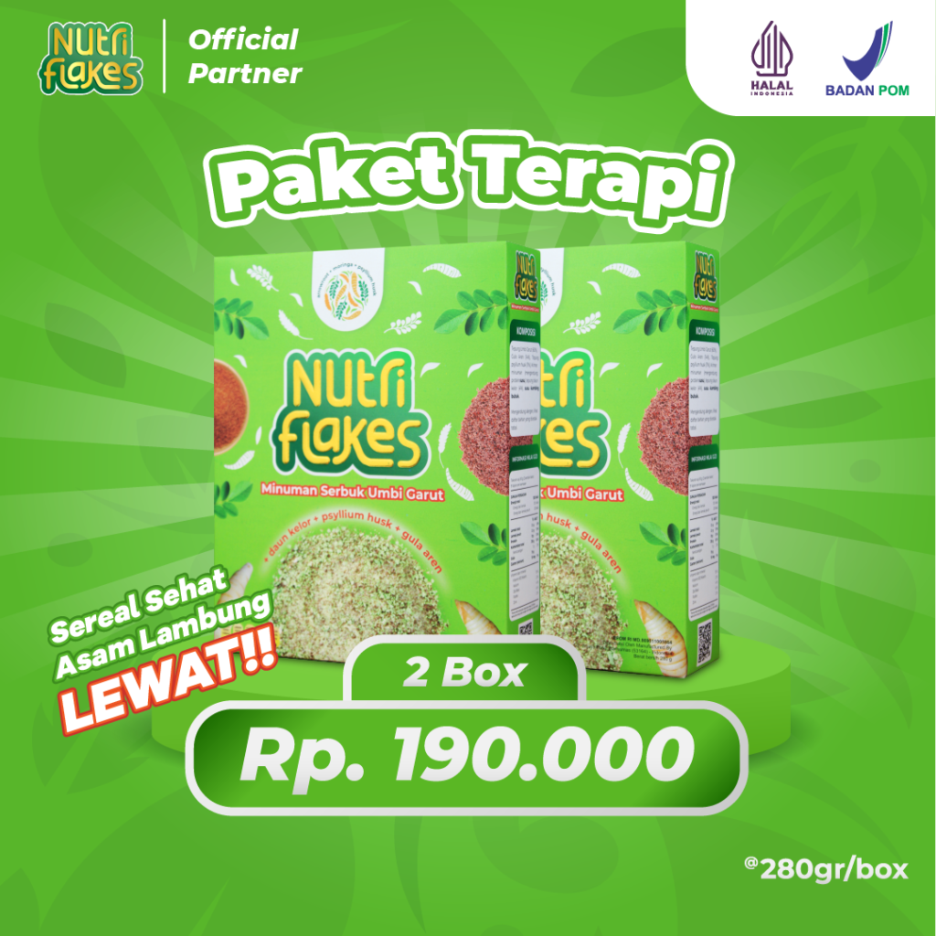 paket 2 box nutriflakes