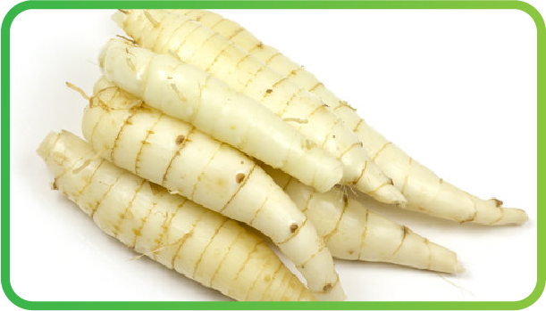 Umbi Garut Nutriflakes